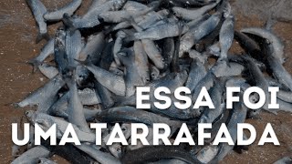 pesca praia GRAÇANDU