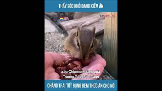 Sóc Chipmunk tặng quà - Trương Tuấn Sóc Cảnh