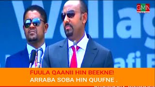 GMN_10/05/2024_Fuula qaanii gate ,  Arabba soba hin quufne. #oromo #world #oromomusic #abiyahmed