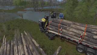 FS 17 Biobeltz TR750 + HC7 Z Crane