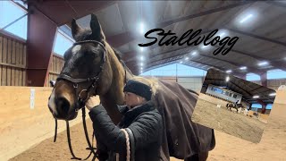 Stallvlogg - med tömkörning och markarbete 🐴