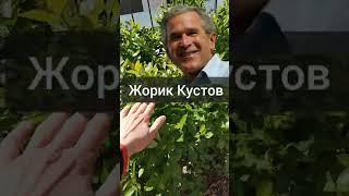 Джордж Буш - Жорик Куст английски