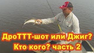 ДроТТТ-шот или Джиг?....кто кого? 2 часть...bogomaz05