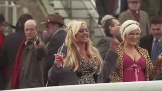 Chav Tranquilizing at Cheltenham - Paddy Power Style