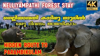 Deep Forest Stay In Nelliyampathy | Karadi Bungalow Pakuthipalam