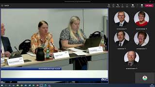 Scrutiny Budget and Performance Panel; 20/06/22