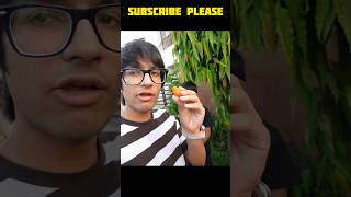 Guys आपने देखा है क्या ऐसा आम😛😛😋🤪😜😝😋😋!#shorts#viral#new#video#reels#souravjoshivlogs