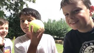 We are playing cricket (with our friends )