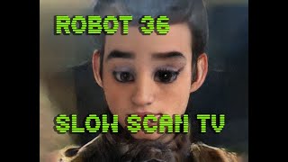 0053 Toonify SSTV Robot36