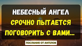 💌Небесный ангел срочно пытается поговорить с вами... послание от ангелов