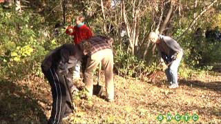 Newport Buckthorn Removal Day '13