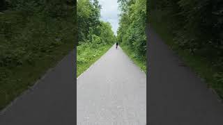 Serene bike ride in Michigan #mindfulness #bike #nature #relaxing