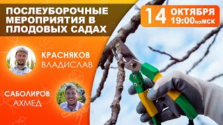 Послеуборочные мероприятия в плодовых садах | Ахмед Саболиров