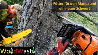 Der Manta braucht wieder Holz und ein neues Schwert