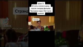 Сцена после титров Человек Паук: Нет Пути Домой (шутка)