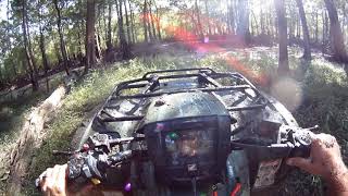 Edisto River 4-Wheeling