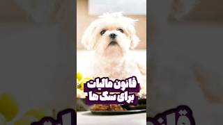 قانون مالیات برای سگ ها 💸🐶