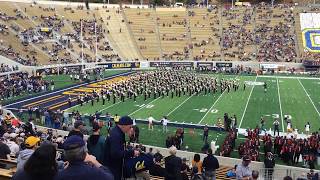 "Big C" at Oregon State game, 11/4/17