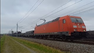 Baureihe 185 DB mit Mischzug