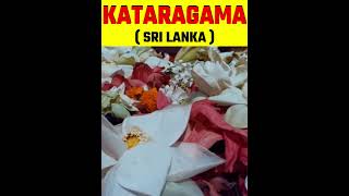 Kataragaram Sri Lanka || #shortvideo #shorts #factsmine #facts #trending #temple #mandir #srilanka