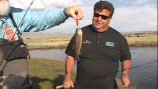 Dan Hernandez River Fishing for Trout