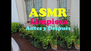 Limpieza Jardín Antes y después| ASMR