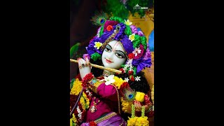 Jai Shree Krishna | jai shree krishna status | Krishna ji | krishna ji whatsapp status full screen