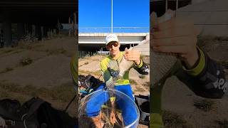 3часть | утренняя рыбалка #fishing #shortvideo #фидер #рыбалка