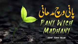 Poetry Poetry Pani Wich Madhani By Saeed Aslam Punjabi Shayari Whatsapp Status | poetry status