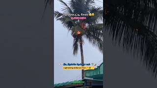 இடி விழுந்த தென்னை மரம்🌴⚡🔥 #thunder #thunderstorm #lightening #rain #salem #thunderstorms #rainyday