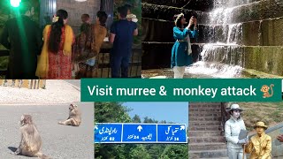 Murree Family Trip Vlog By Hamania Sehar ( Part 2 ) Visit Murree & Monkey Attack Waterfall Mountain