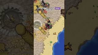 Tibia Time Boosted Series: Crypt Warden! 🪽 #tibia #gaming #shorts