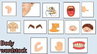 Body part vocabulary