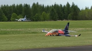 RC Viper Jets, Formation Flight of Two - Modelpark Suché 2017