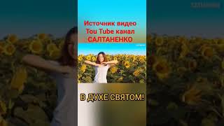 Источник видео Tou Tube канал САЛТАНЕНКО