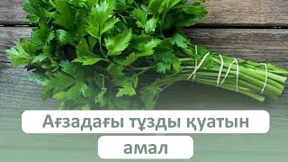 Орыстар өліп жейтін петрушканың пайдасы қандай?