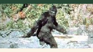 The Origins Of Bigfoot From ‘A History Of The Ottawa And Chippewa Of Michigan’