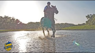 At the Florida Horse Park discussing Kentucky and a video tour of TerraNova Equestrian Center Ep 2.8