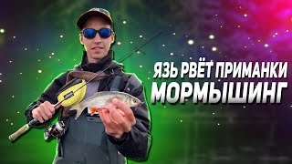 Ловля язя на мормышинг