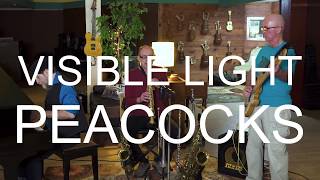 Visible Light - Peacocks