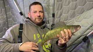 Monster Walleye on Mystery Lake in North Dakota!!