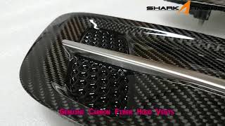 Hyundai and Kia genuine carbon fiber parts