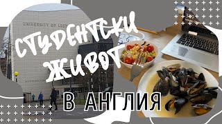 Какво правят студентите в Англия - част 2 | Студентски живот | Университетът в Лийдс