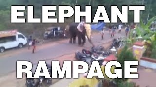 Elephant Rampage in Kerala, India Destroys 27 Cars and Motorbikes (stabilized)