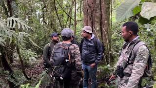 Birding at Kerinci National Park