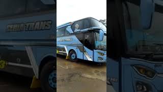 bus ceria trans Basuri v3 #storts #teloletbasuri