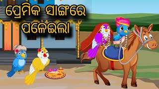 Premik Saha Paleila | Tiki Chadhei Gapa | Odia gapa | Moral Story | Bird Story | cartoon story