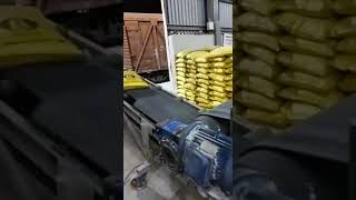 Lorry loading for bags with transfer conveyor.