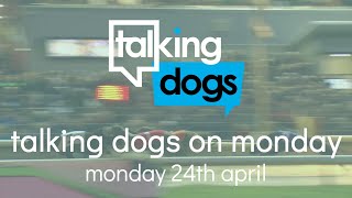 Talking Dogs on Monday 24th April