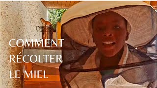 Comment récolter le miel  #apiculture #miel #abeilles